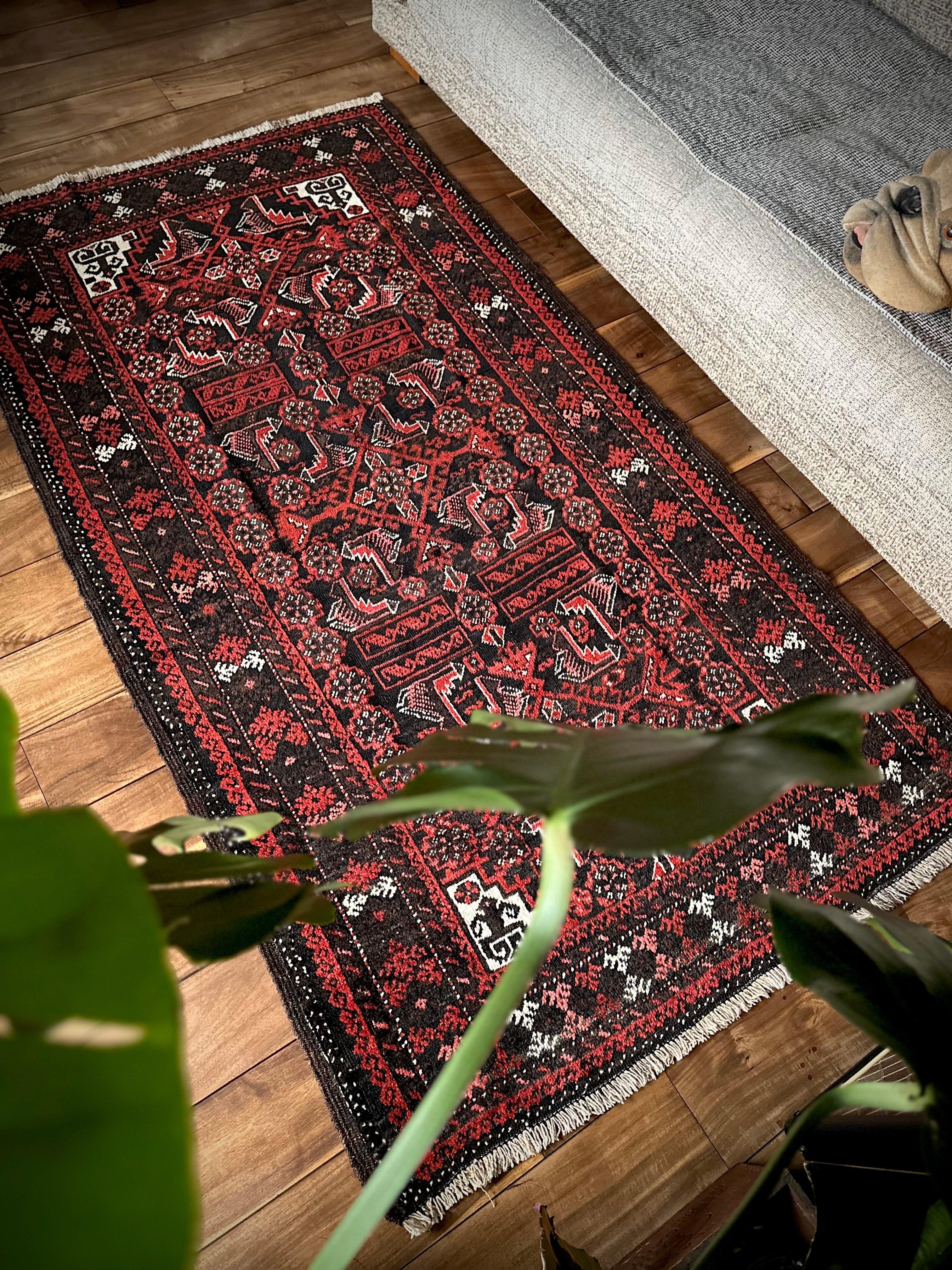 No.493-Antique Sistan Baluch rug | Nomads Style Lab.